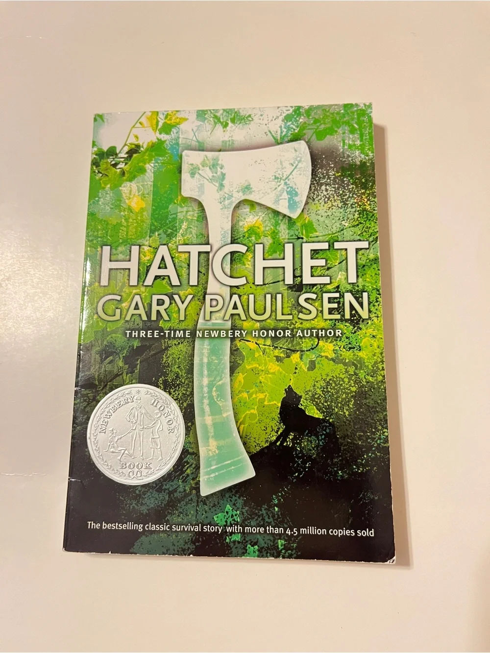 Hatchet Gary Paulsen Paperback Book Aladdin Edition 2006 Survival Novel